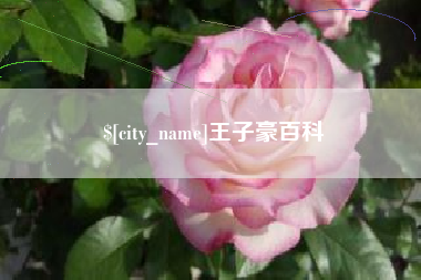 句容王子豪百科