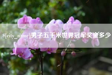 句容男子五千米世界冠军奖金多少