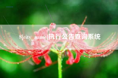 句容执行公告查询系统
