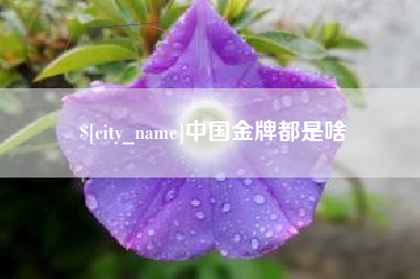 句容中国金牌都是啥