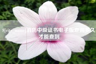 句容消防中级证书电子版查询多久才能查到