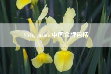 句容中国金牌包括