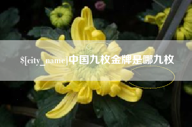 句容中国九枚金牌是哪九枚