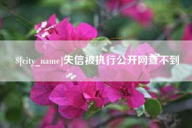 句容失信被执行公开网查不到