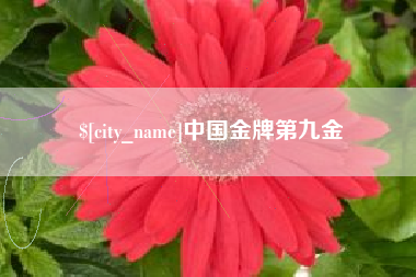 句容中国金牌第九金