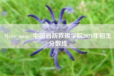 句容中国消防救援学院2024年招生分数线