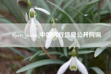 句容中国执行信息公开网询