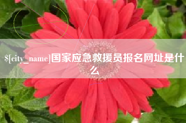 句容国家应急救援员报名网址是什么