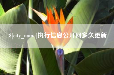 句容执行信息公开网多久更新