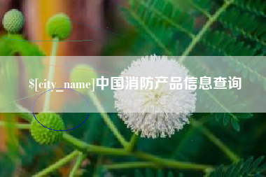 句容中国消防产品信息查询