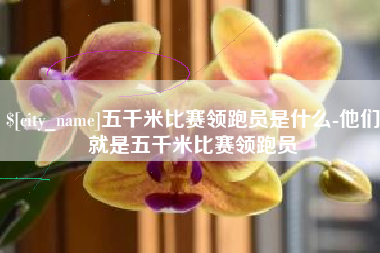 句容五千米比赛领跑员是什么-他们就是五千米比赛领跑员