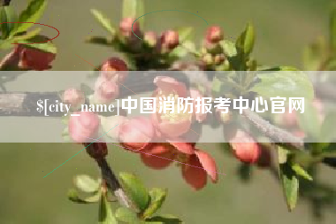 句容中国消防报考中心官网
