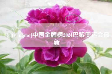 句容中国金牌榜2024巴黎奥运会最新