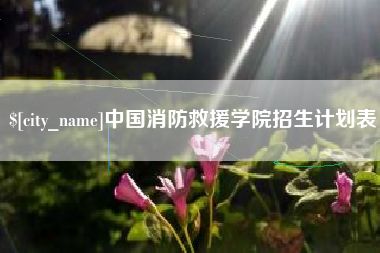 句容中国消防救援学院招生计划表