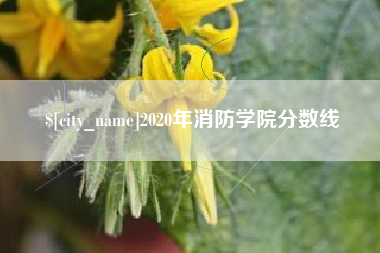 句容2020年消防学院分数线
