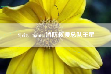 句容消防救援总队王星