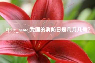 句容我国的消防日是几月几号？