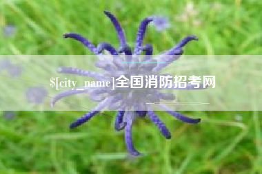 句容全国消防招考网