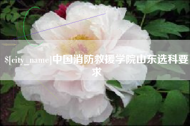 句容中国消防救援学院山东选科要求