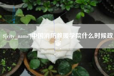 句容中国消防救援学院什么时候政审