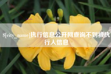 句容执行信息公开网查询不到被执行人信息
