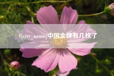 句容中国金牌有几枚了