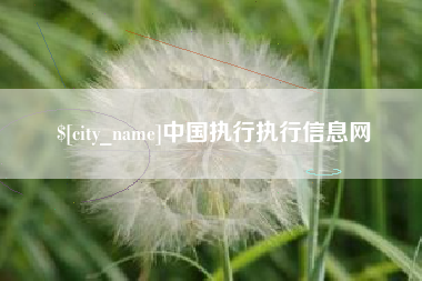 句容中国执行执行信息网
