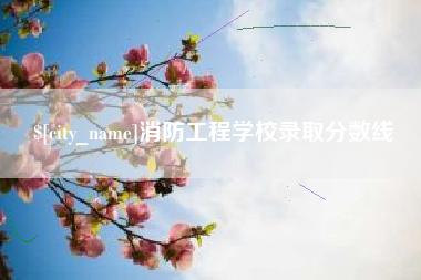 句容消防工程学校录取分数线