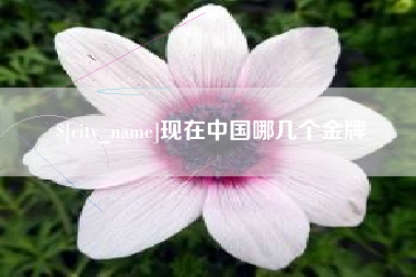 句容现在中国哪几个金牌