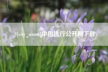 句容中国执行公开网下载