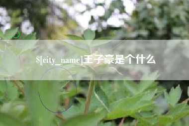 句容王子豪是个什么
