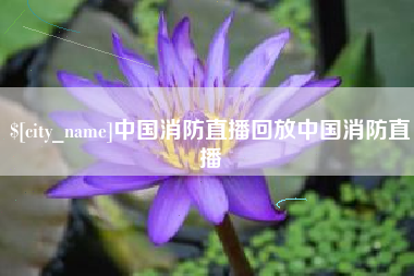 句容中国消防直播回放中国消防直播