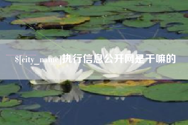 句容执行信息公开网是干嘛的