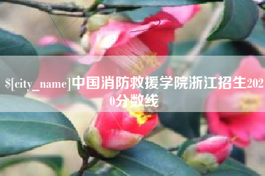 句容中国消防救援学院浙江招生2020分数线