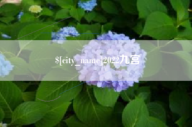 句容2022九宫