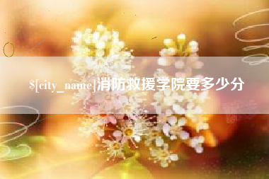 句容消防救援学院要多少分