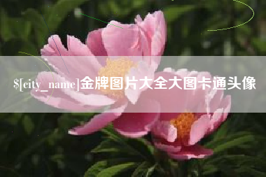 句容金牌图片大全大图卡通头像