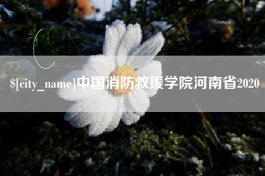 句容中国消防救援学院河南省2020